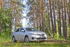 Накладки на передние фары (реснички) Toyota Corolla (седан) 2010-2013