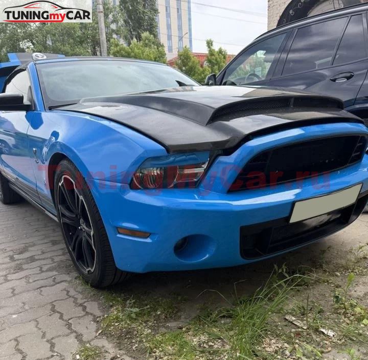 Накладки на фары (реснички) для Ford Mustang 2005-2014