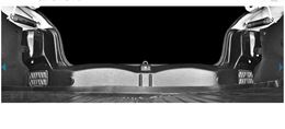 Внутренняя облицовка задних фонарей (ABS) (2 шт) RENAULT Logan 2014-